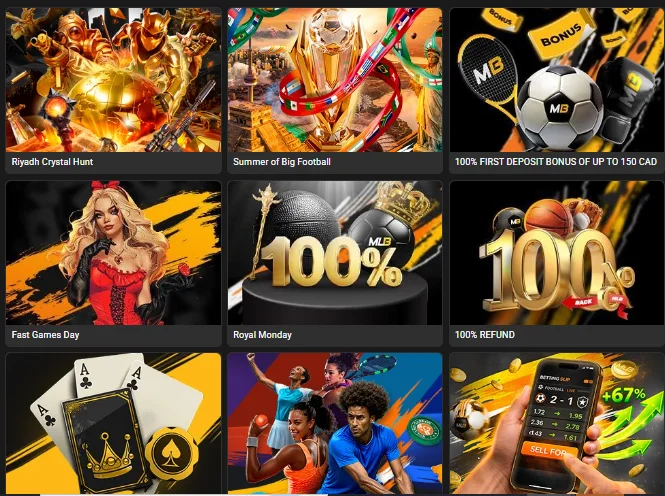 Seasonal Offers